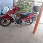brian apostol