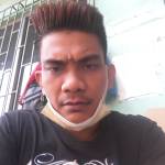 Rollyestopia